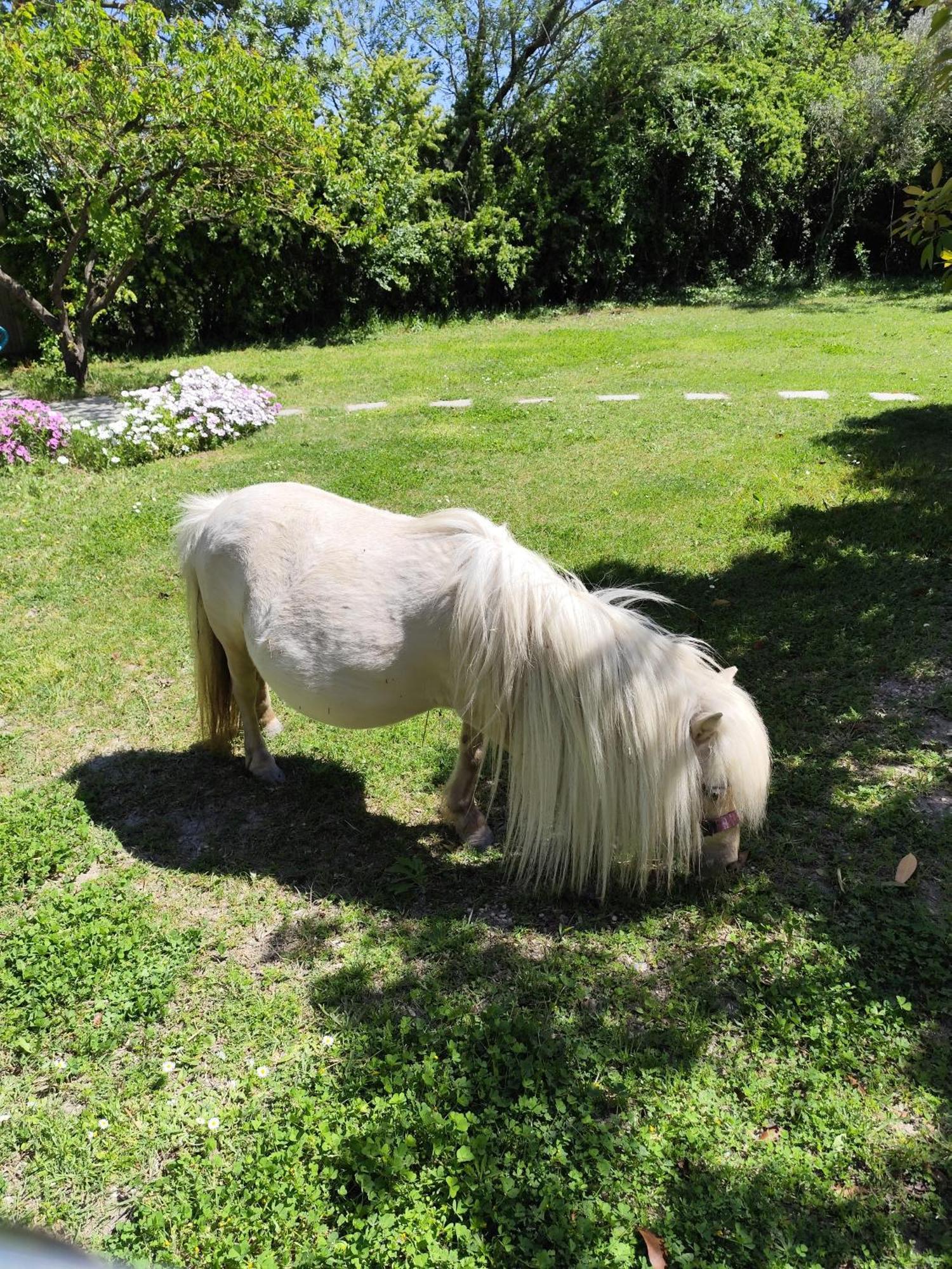 De Charme Casa rural *